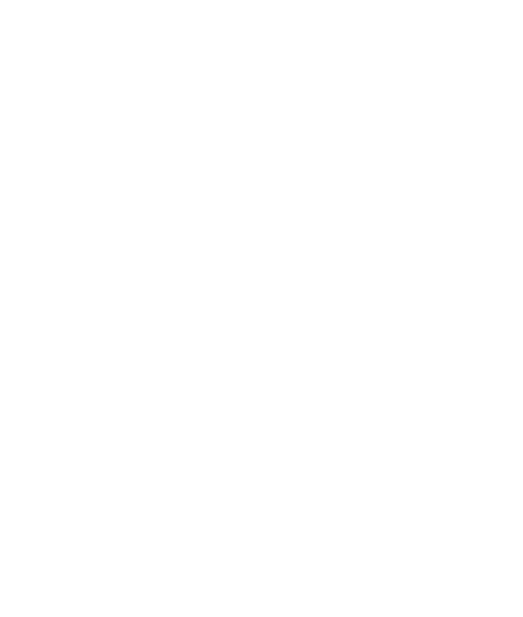 Emporio Sicurezza di Michele Ingegno