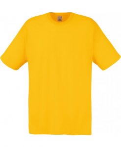 SC6 T shirt 100a cotone  fruit of the loom